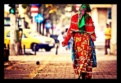 roma_gypsies_inter-schengen_mgration