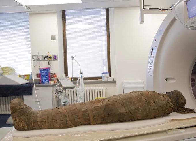 Mummipedia Wiki | FANDOM powered by Wikia 3