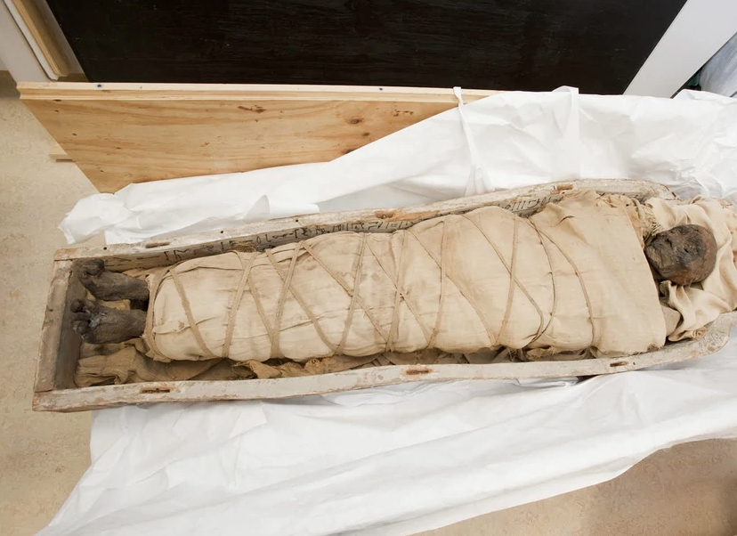 Mummipedia Wiki | FANDOM powered by Wikia