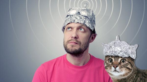 tinfoil-hat-and-tinfoil-cat